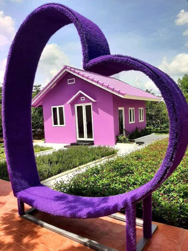 căn nhà màu tím 1